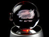 Electrike Crystal Pokeball